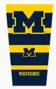 Image Michigan Wolverines Strong Arm Sleeve - Special Order