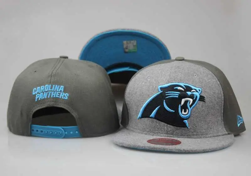 Image Panthers Fresh Logo Gray Olive Adjustable Hat LT