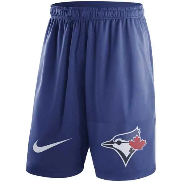 Image Men's Toronto Blue Jays Nike Royal Dry Fly Shorts FengYun